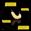 50pcs Soft Worm Bread Worm Maggot Soft Fish Bait; Fishing Bionic Bait Without A Hook; Outdoor Fishing Tackle - 50pcs