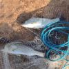 Fishing Cast Net Bait Trap Easy Throw Heavy Duty Hand Cast Net with Chain Sinker Bottom Spread - 8FT